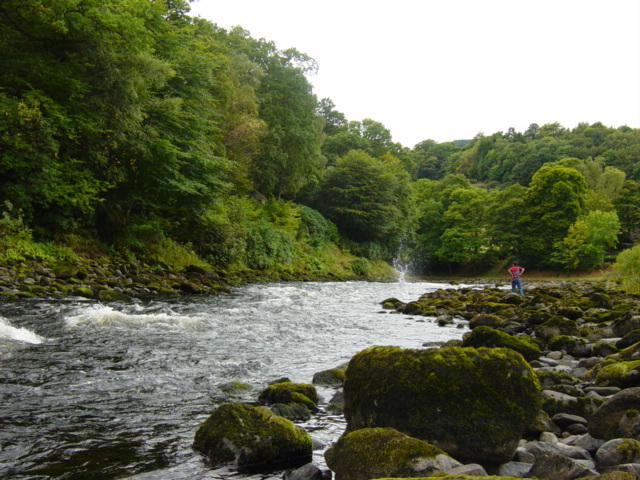 An angler working the salmon pool below the Grandtully rapids on the River Tay